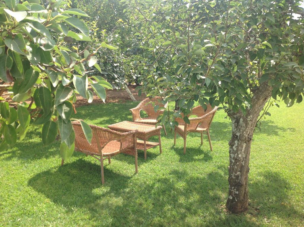 Agriturismo L'Agrumeto Otranto Eksteriør bilde